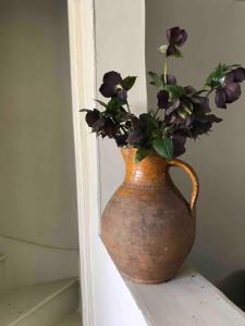 Little Townhouse on Sheppards Barton