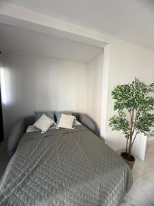 Magnifique 3 pièces à 100m de la mer