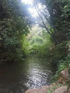 Casa en San Nicolás del Puerto - 圣尼科拉斯德尔普埃尔托