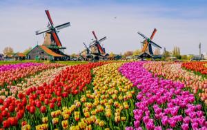 1-2 pp ROOM AMS Airport great view lake