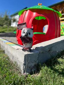 Seosko domacinstvo Becirovic - Kukulik lodgings