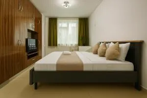 Central Adress DD19 - Vatra Mînăstirii Cotroceni