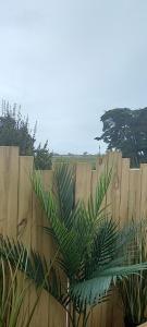 Hotels Le Parasol : Chambre Triple Confort