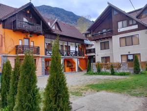 Pensiunea Irina 1 si 2