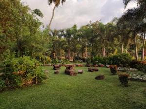 Candela Garden