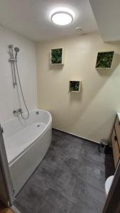 Charmant t2 idéal Curiste 1min à pied de la cure thermale