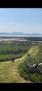 Belmullet Beach House Retreat