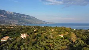 Thanos Attic Apartment Kefalonia - 佩萨达