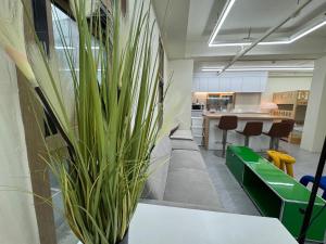 201, Atelier Seongsu Riverside Loft Cherry Blossom Road Han River airport bus