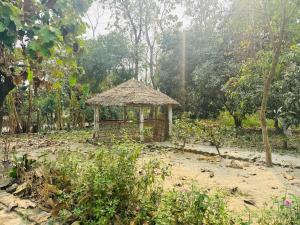 Nature View Homestay