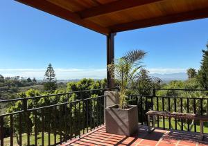 B Shocked Manor - Lux Suites