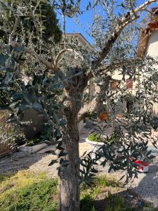 Le residenze del Lugana