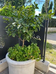 Le residenze del Lugana