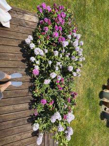 Dom letni Słoneczny Taras