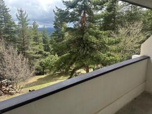 Парк-хотел Родопи