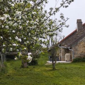 Maisons de vacances Gite de la tuilerie : photos des chambres