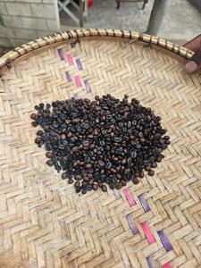 Home Of Wonders Eco Hostels