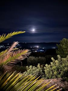 oasi di pace fasano NEW apartment