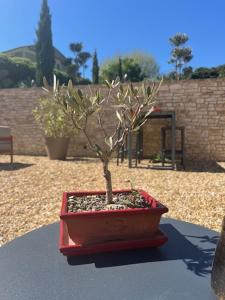 B&B / Chambres d'hotes LE MAS AUX CEDRES - Teritoria : photos des chambres