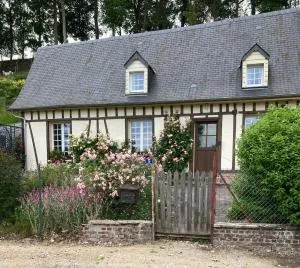 Rose des prés - Acheux-en-Vimeu