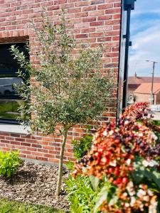Maisons de vacances Studio Cosy Neuf : photos des chambres