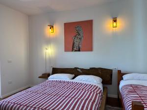 Guesthouse Koleci - Mrizi Zanave