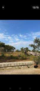 Monolocale nel salento