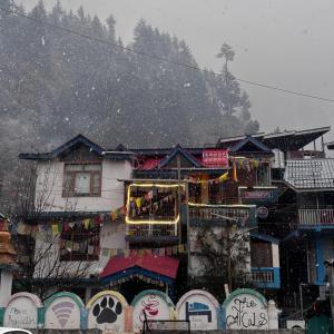 The Locals Manali