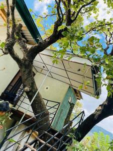 Royal Lodge Belihuloya