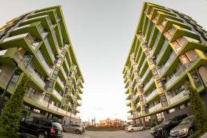 Alezzi Studio by Sunny Mamaia