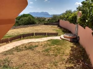 Il mirto in fiore img20