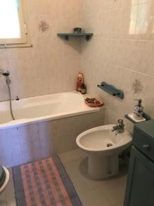 Il mirto in fiore img30