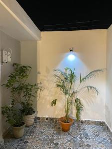 Shri Mahalakshmi Homestay