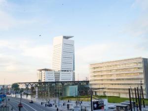 Butterfly 703 Harve de paix au Cœur de Casablanca