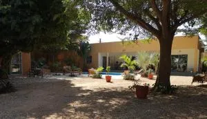 villa arborée ngaparou - Ngaring