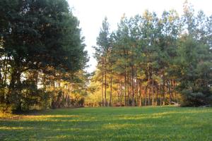 Cabaña Camp Doña Estela