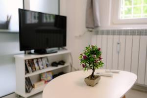 Top Center - 2 min from NDK