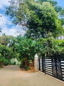 Half Moon Holiday home - 8bhk