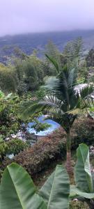 Ecohotel Soplo del Tambo