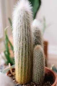 Private Entrance Double Room- 15 Mins to Belfast City