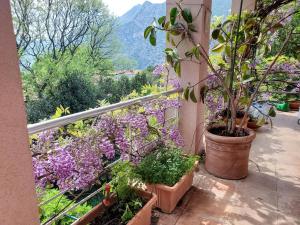 EcoHouse Risan Studio