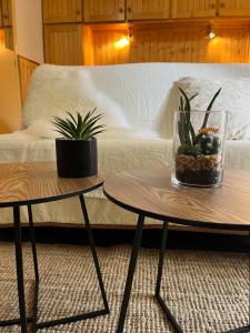 Appartements Riviera Lodge : photos des chambres