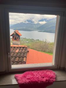 Il nido del colibrì - Lago di Como -