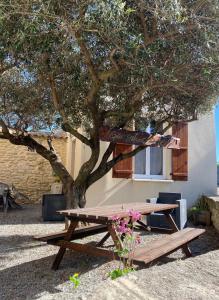 Les Gîtes sous l Olivier en Camargue