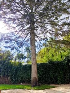 Juneberry Ecolodge Bergen