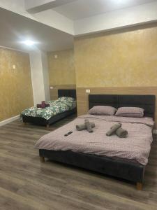 Apartament Negris New