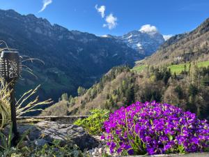3 Zi Terrassenwohnung nahe Skigebiet Pizol