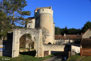Grand gîte au château de Betz-le-Château