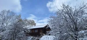 Cabana Plaiul Bucovinei - 坎普朗莫道尼斯