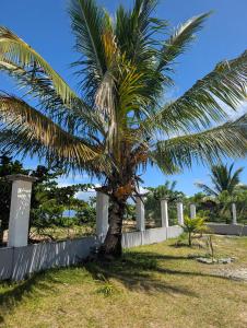 Le tournesol Belle villa